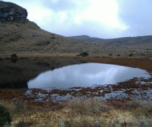 Páramo Sumapaz Funte flickr com6