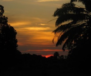 Atardecer Llanero. Fuente: flickr.com Por: andariegahenao@yahoo.es